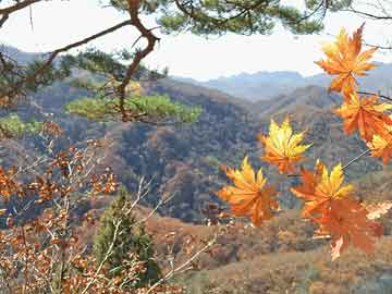 西安天地源万熙天地最新消息